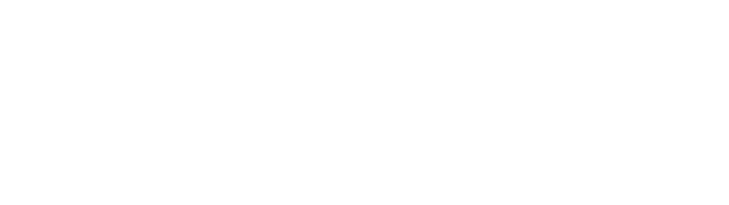 King Experience-Partner SSI