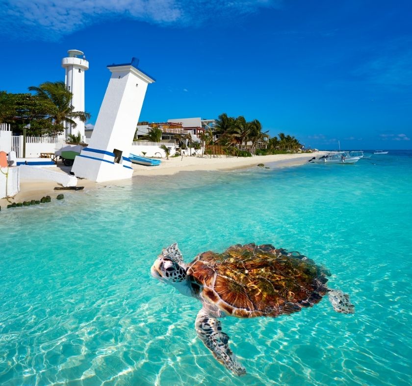 Faro Inclinado de Puerto Morelos y playa principal dentro del Parque Nacional Arrecife de Puerto Morelos, con aguas cristalinas del Caribe mexicano.