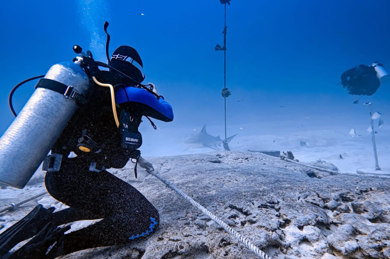 Bull shark encounter in Riviera Maya, scuba diving experience in Playa del Carmen